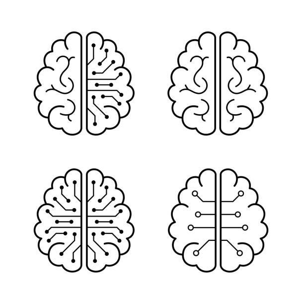 human brain and artificial intelligence concept human brain and artificial intelligence concept, top view brain stock illustrations