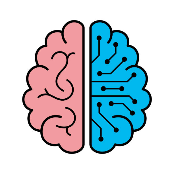 ilustrações de stock, clip art, desenhos animados e ícones de human brain and artificial intelligence concept - nerve cell human nervous system cell brain
