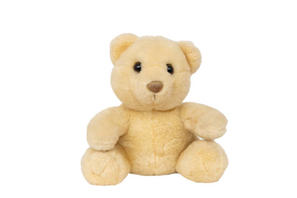 istock White plush polar bear, fluffy stuffed cuddly toy 1276406580