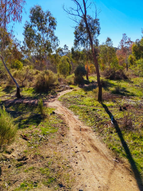 istock Mt Alexander in Harcourt in Australia 1276412686