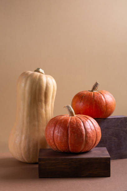 istock Autumn still life. Various types of pumpkin on brown background. 1276412713