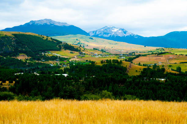 istock Coyhaique National Reserve 1276414434