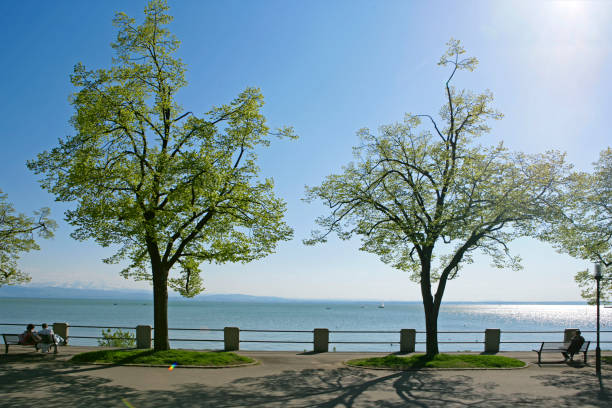 Promenade in Friedrichshafen at Lake Constance, Baden-Wurttemberg, Germany, Europe