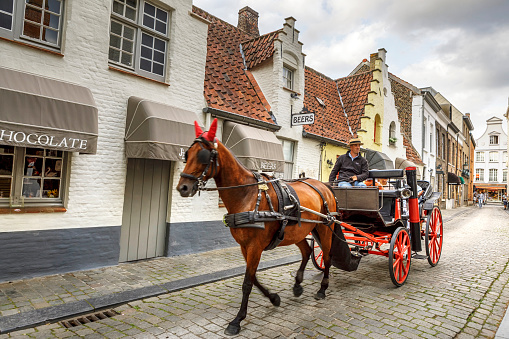 Bruges, Belgium- June 3, 2023- A woman in a straw hat drives a draft horse with a braided mane pulling a wagon loaded with tourists through the narrow historic streets of Bruges, Belgium in an early June morning.