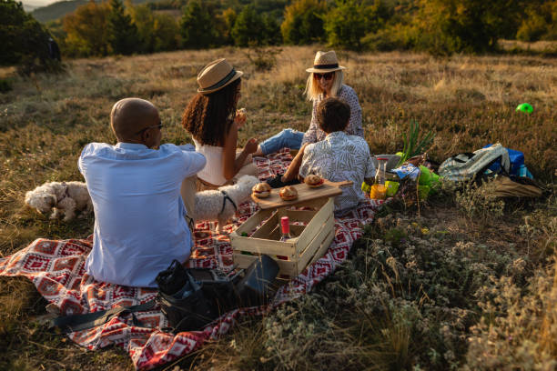 istock Picnic in nature at sunset 1276421488