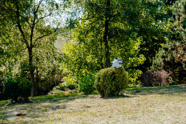 natural landscape in the central park of the city