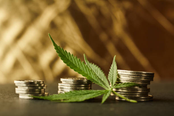Weed Money A Cannabis plant leaf laying on a group of ZAR South African Rand currency coins on a black surface with gold background cannabis store photos stock pictures, royalty-free photos & images