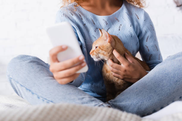istock Selective focus of woman using smartphone and petting cat on bed 1276432313