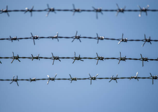 Four lines of barbed wire with a shallow depth of field and a blue sky background.