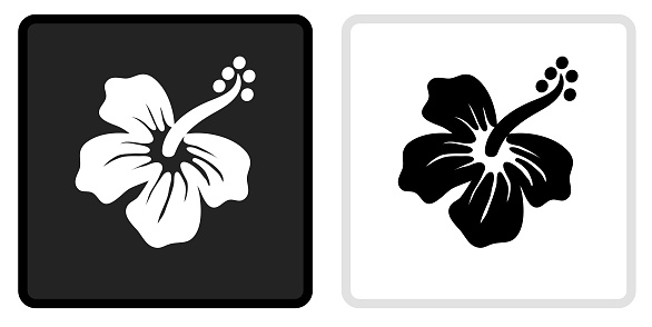 Tropical Flower Icon on  Black Button with White Rollover. This vector icon has two  variations. The first one on the left is dark gray with a black border and the second button on the right is white with a light gray border. The buttons are identical in size and will work perfectly as a roll-over combination.