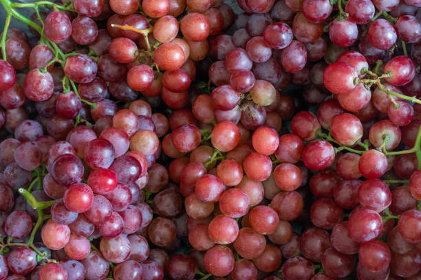 istock A basket of ripe red grapes 1276437570