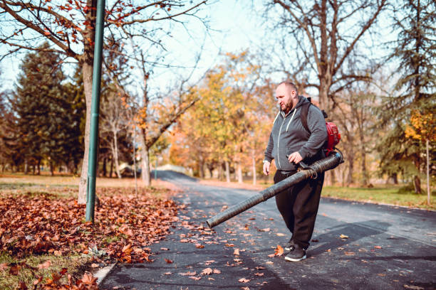 istock Male Worker Focused On Cleaning Park Thoroughly From Autumn Leaves 1276438599