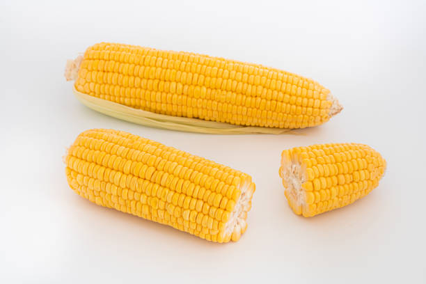 옥수수 - corn corn crop corn on the cob isolated 뉴스 사진 이미지