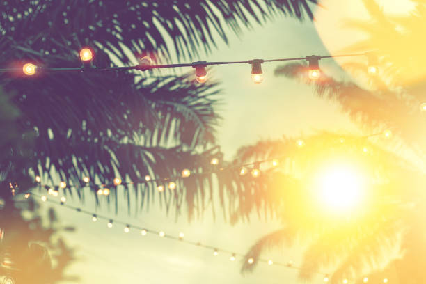 istock ved light bokeh with coconut palm tree background on sunset, yellow string lights with bokeh décor in outdoor restaurant 1276444076