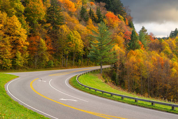 istock Smoky Mountains National Park 1276444085