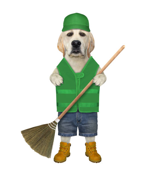 istock Dog with gardening besom 1276446246