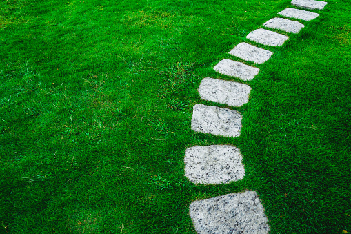 Stone footpath in green grass