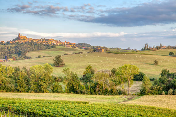 Monferrato vineyards summer panorama. Color image stock photo
