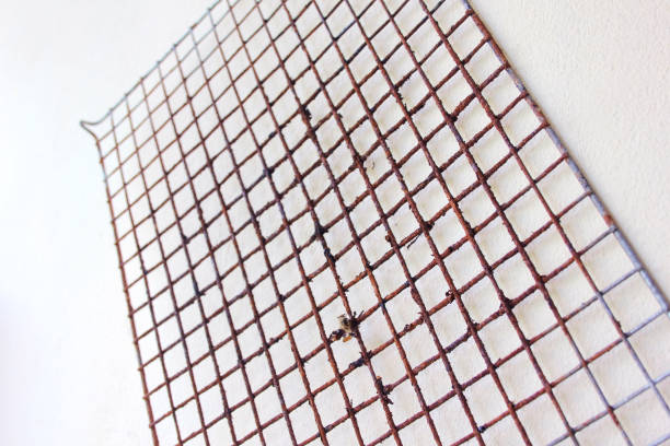 istock Grate Grill Steel grating I use a meat grill. 1276448187