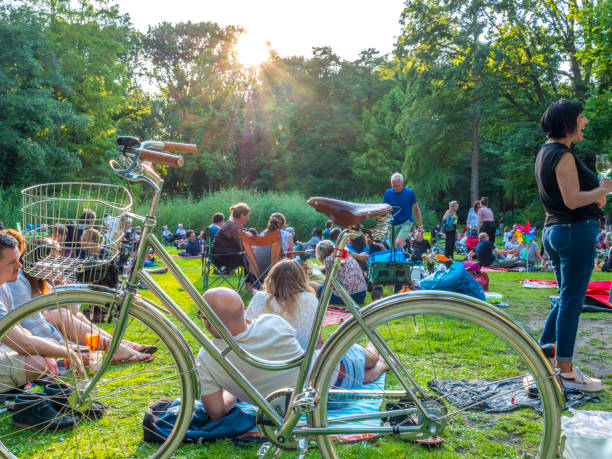 folla di persone nel parco, picnic. - outdoors city life urban scene city foto e immagini stock