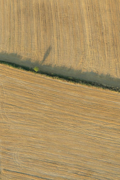 istock Views from a balloon in Turkey 1276450098