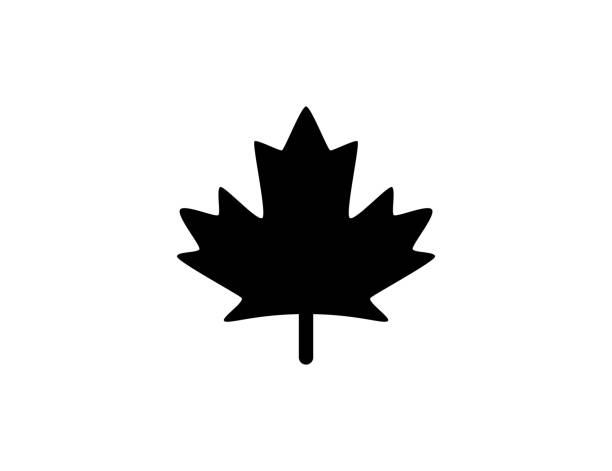 illustrazioni stock, clip art, cartoni animati e icone di tendenza di icona foglia d'acero. simbolo canadese. bandiera del canada. simbolo foglia d'acero isolato - vettore - maple leaf close up symbol autumn