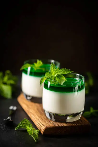Dessert Panna Cotta with green mint sauce and fresh mint on dark background