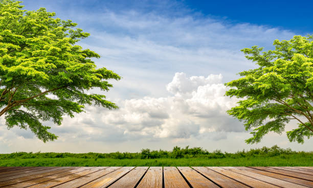 Wooden walkway view point at beautiful rural scene