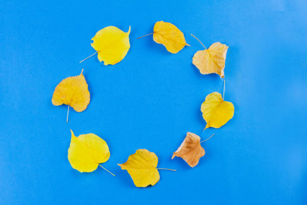 istock Autumn leaves laid out in a circle on a blue background. 1276460277