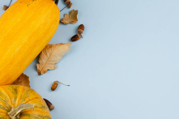 istock Pumpkins with leaves on a blue background. 1276460443
