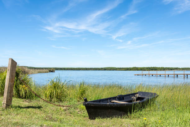 aureilhan pond, between mimizan and biscarrosse in the landes - mimizan imagens e fotografias de stock