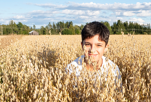 A teenager 11-14 years old, oriental type, looks out from ears of oats in an oat field. The boy smiles and looks at the lens.