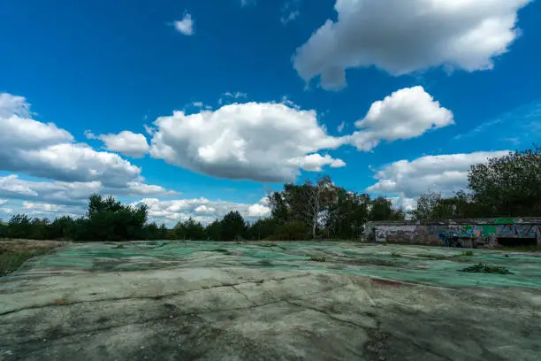 Photo of Concrete plate at former military training area Jueterbog in late summer