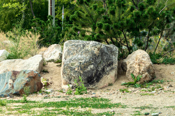 istock Several stones of different colors and shades. 1276467510