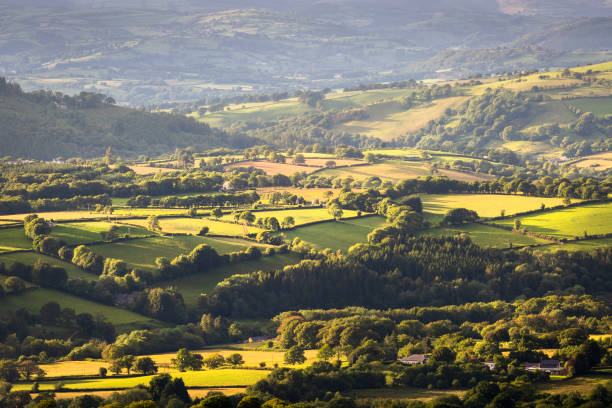 champs et terres agricoles du sud du pays de galles - welsh culture wales field hedge photos et images de collection