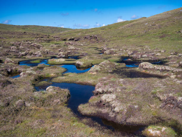 un área de humedal en mainland, shetland, reino unido - sphagnum fotografías e imágenes de stock