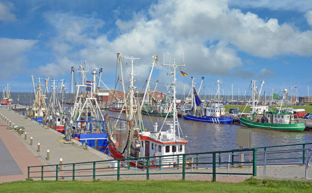 istock Accumersiel,Shrimp Boat,North Sea,Germany 1276470090