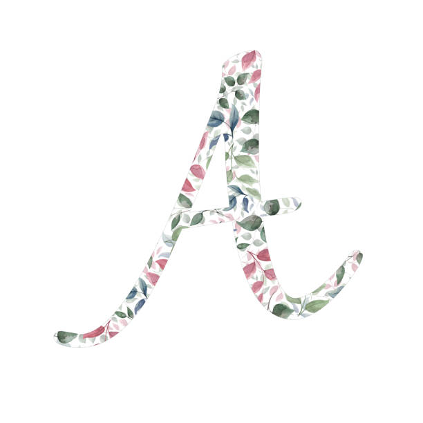 Capital letter A for text design, holiday cards, decor and design of text messages, wedding invitations. Capital letter A for text design, holiday cards, decor and design of text messages, wedding invitations. Letter on the background of delicate watercolor flowers - roses, leaves, buds, branches. lettera a stock illustrations