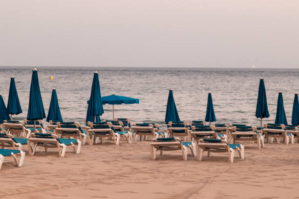 istock empty beach, with hammocks and parasols, cloudy day 1276473159