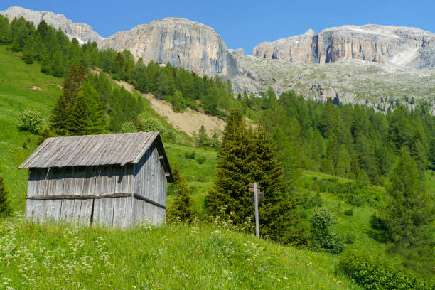 mountain landscape along the road to campolongo pass, dolomites - cordevole valley imagens e fotografias de stock