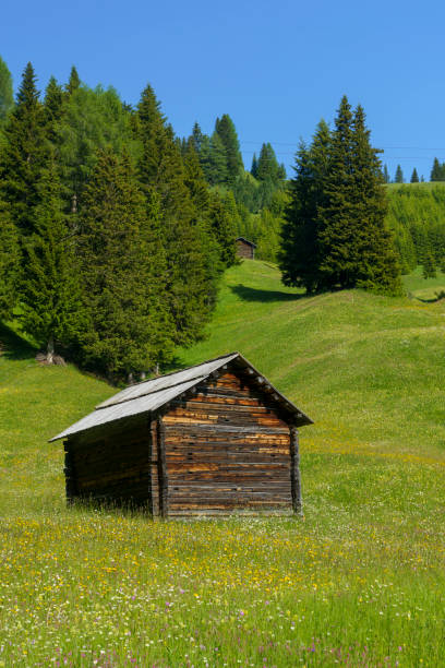 mountain landscape along the road to campolongo pass, dolomites - cordevole valley stock-fotos und bilder