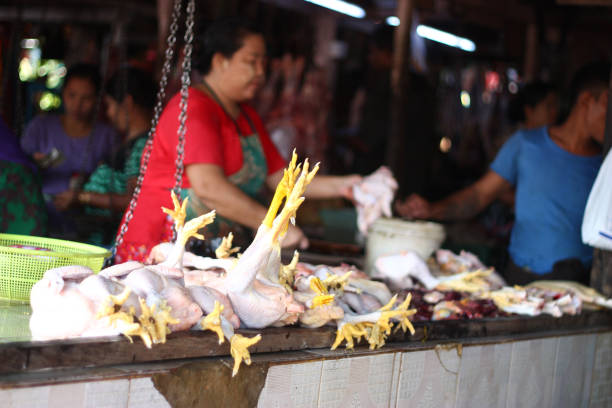 Yangon, Rangun, Myanmar; October 24 2014: chicken stall in a local market\