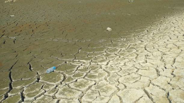 Droughty Lakeside stock photo