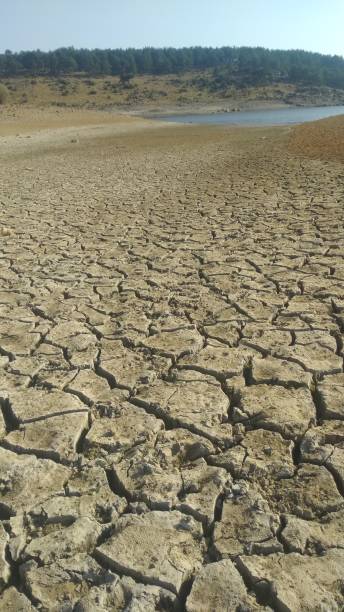 istock Cracked Soil at the Lake 1276477742