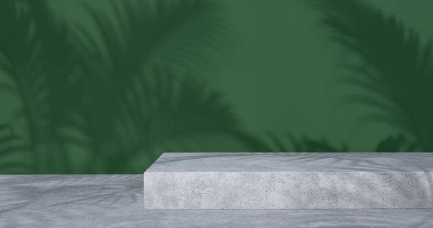 istock 3d rendering of concrete podium and palm tree shadow. 1276478592