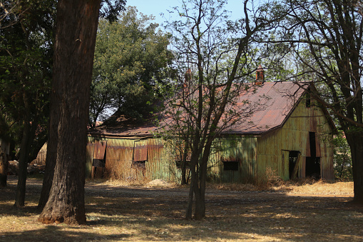An abandoned shed in a forest. The walls of the shed is green with a red roof.