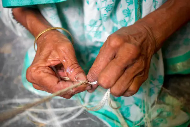 An old age woman is making on his skinny hands a rope from the banana tree fiber at Madhupur, Tangail, Bangladesh.