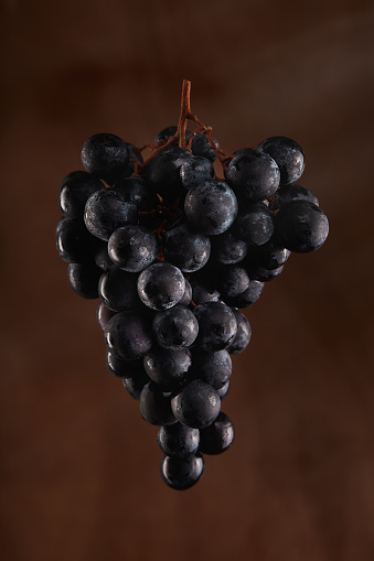 Black grape - Merlot grape cluster against brown background