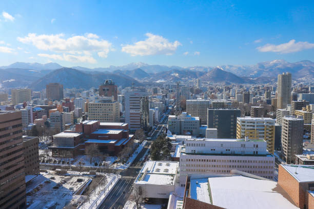 istock Winter in Japan 1276486137