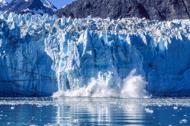 Tidewater glacier calving into Alaskan Bay, causing a huge disruption on the calm water surface.Taken in Southeast Alaska.
